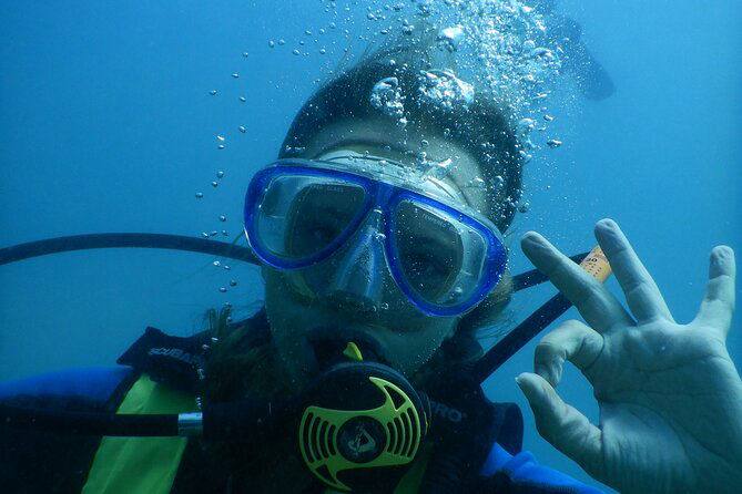Diving - Flofaunes