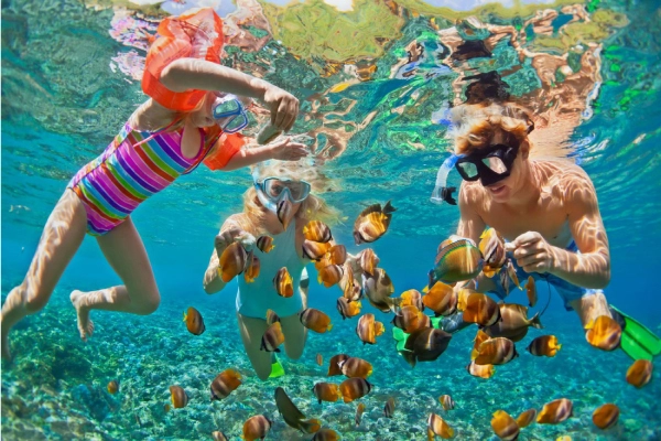Snorkeling - Flofaunes